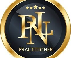 Curso otavio castanho Formação de Practitioner em PNL